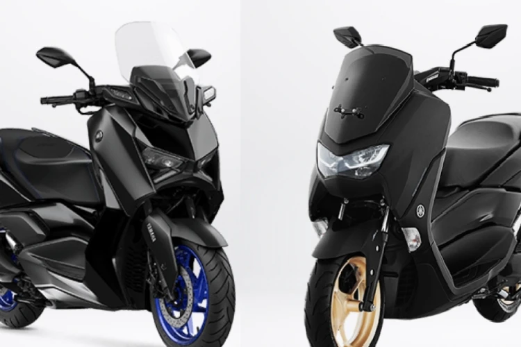 Nmax and Xmax
